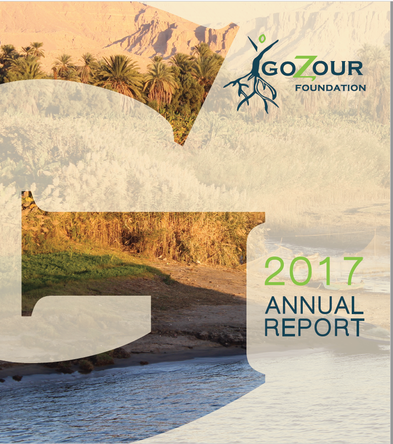 annual report 2017